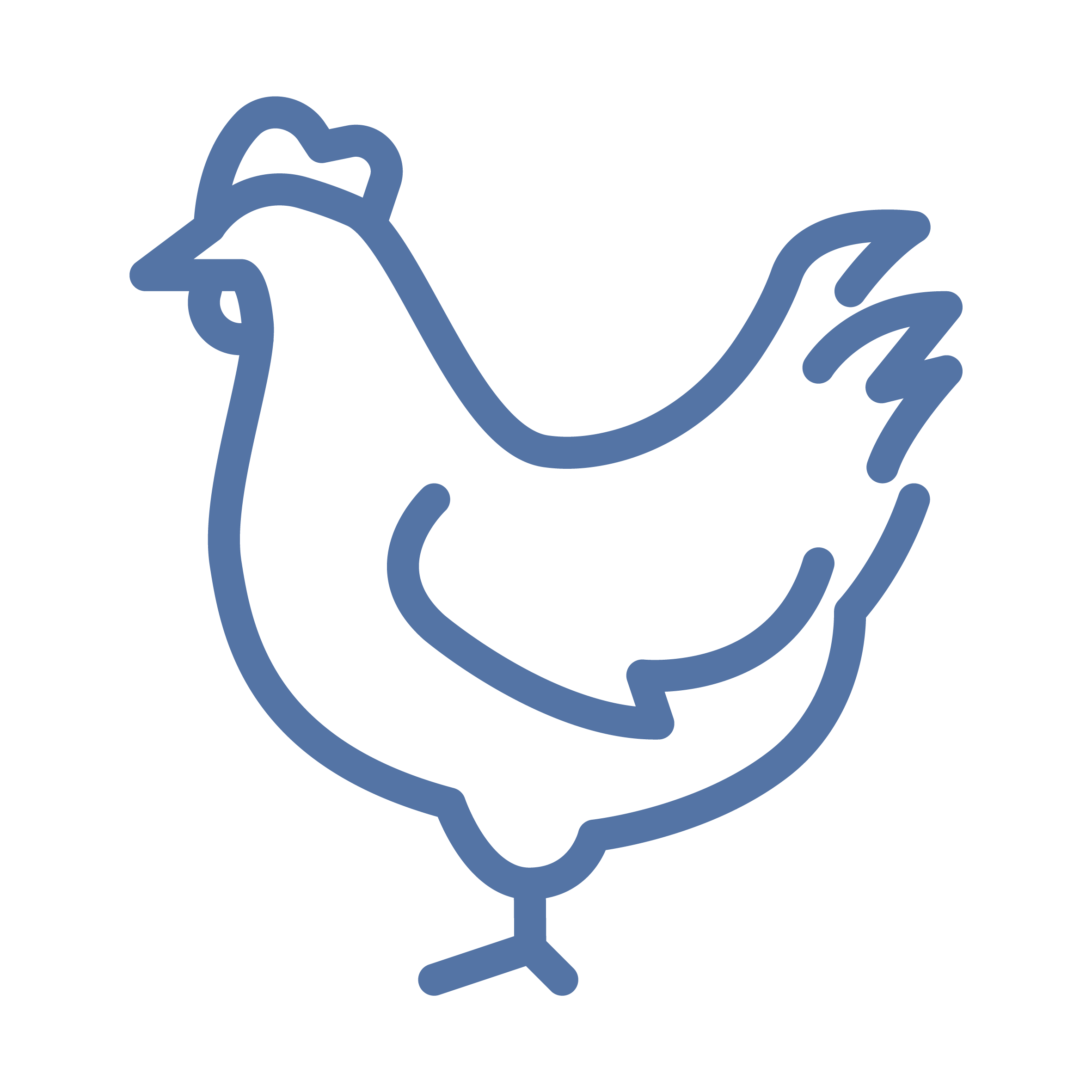 Chickens